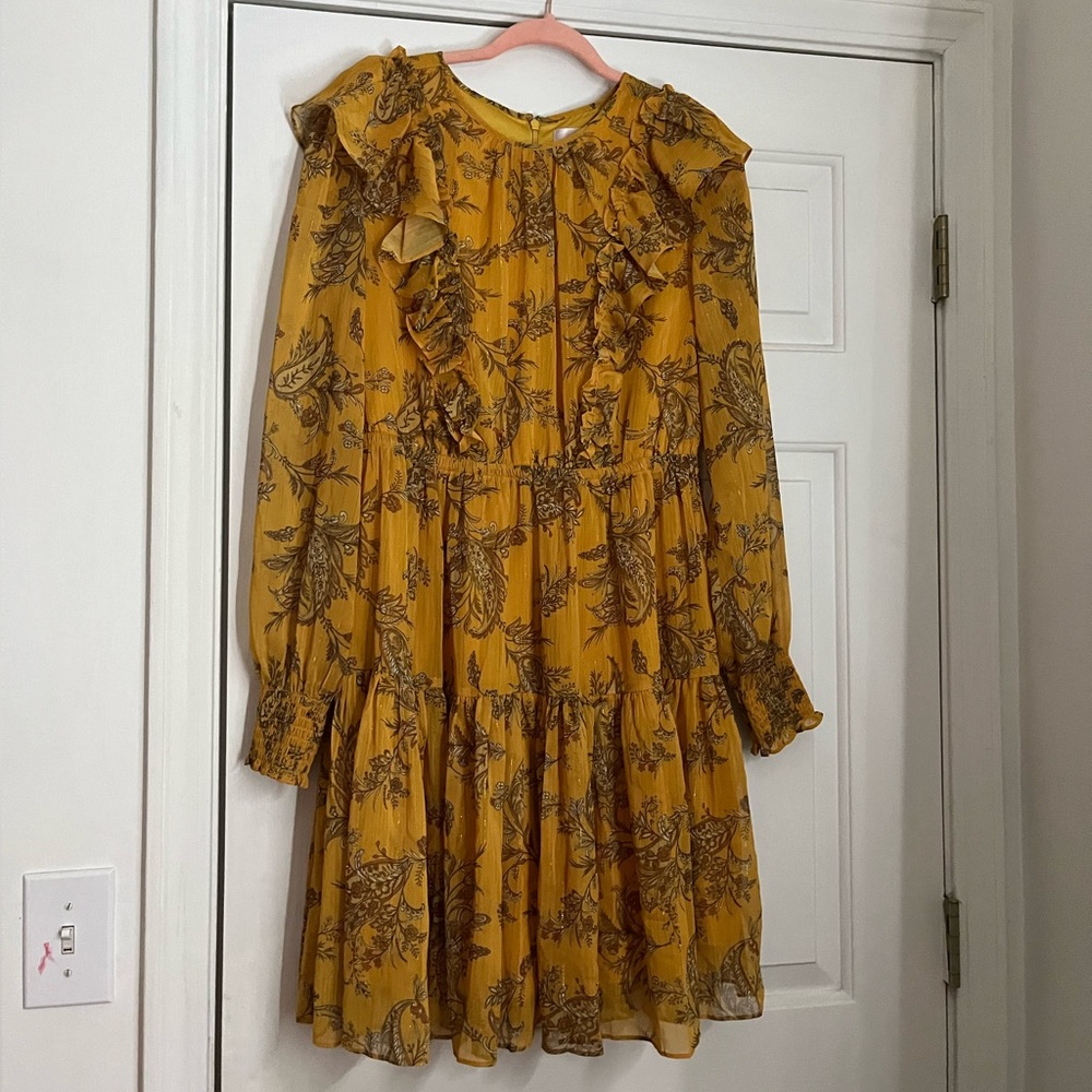 Rachel Parcell, medium